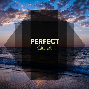 # 1 Album: Perfect Quiet album