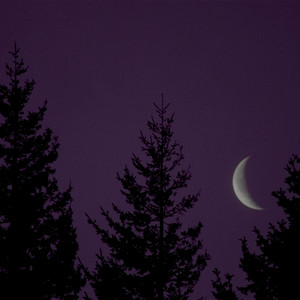 Portada de Moonlight Lullaby