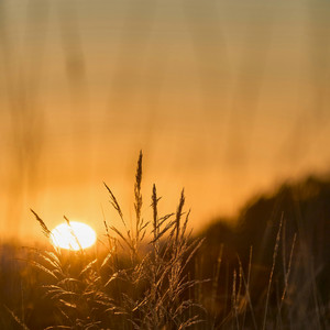 Warmth on the Horizon by Lucie-Fi
