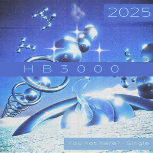 You Not Here? by HB3000