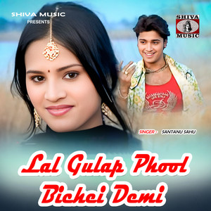 Santanu Sahu - Hale Hale Heijiba Pyar