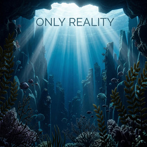 Only Reality by NAERIS