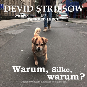 Warum, Silke, warum? [Geschichten vom alltäglichen Wahnsinn (ungekürzte Lesung)]