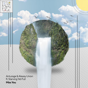 I Can't Hide cover art