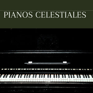 Si Tu Presencia Conmigo No Va