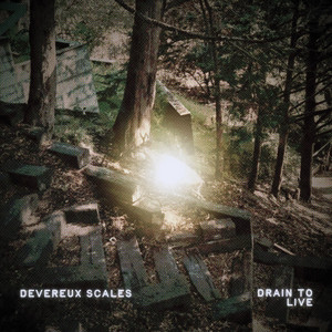 Fall Forever by Devereux Scales
