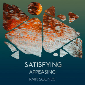 zZz Satisfying Appeasing Rain Sounds zZz album
