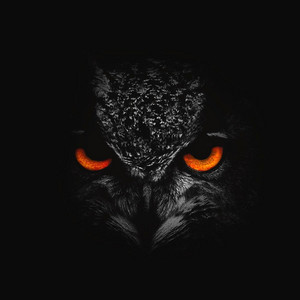 La Vie Apres La Mort by Lonely Dreamers Club