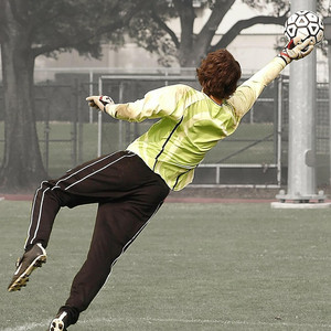Seb Records - Goalkeeper Down