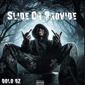 Slide Or Provide by dolo b z