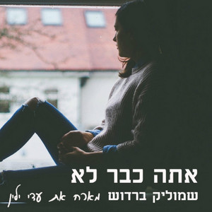 אתה כבר לא by שמוליק ברדוש