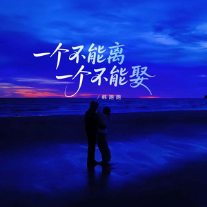 一个不能离一个又不能娶 by 韩跑跑