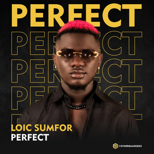 Loic Sumfor - Perfect
