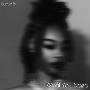 What You Need (wanna be) by Queue Tru