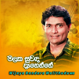 Wijaya Bandara Walithuduwa - Malaka Suwada Danenne