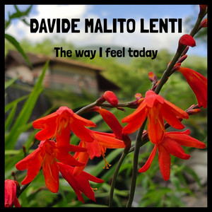 The Way I Feel Today by DAVIDE MALITO LENTI
