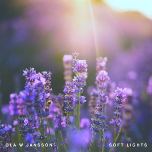 Soft Lights by Ola W Jansson, W JAZZ TRIO