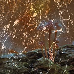 Yolanda Marleny Morales - A la Casa de Dios Yo Voy