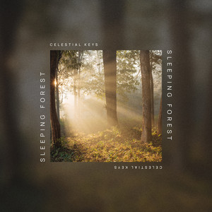 Sleeping Forest (Deep Ambient) by Celestial Keys