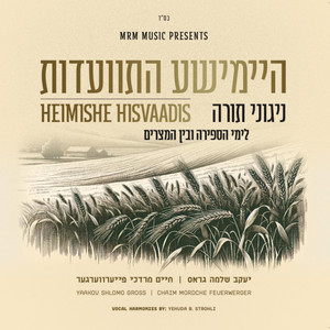 Ani Maamin - Acapella by MRM All Stars, Chaim Mordche Feuerwerger