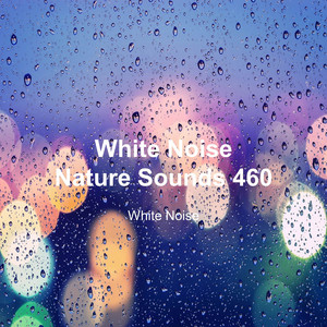 White Noise 460 (Rain Sounds, Bonfire Sound, Baby Sleep, Deep Sleep)