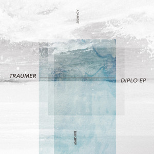 Diplo by Traumer