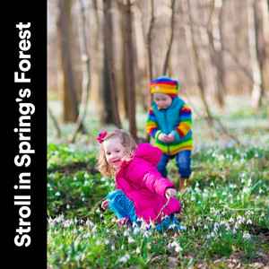 Stroll in Spring's Forest album