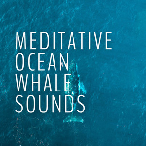 Meditative Ocean Whale Sounds album