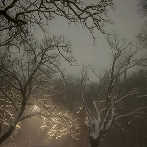 Guardian Angels by Wyo Justin