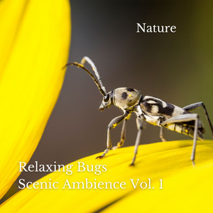 Nature: Relaxing Bugs Scenic Ambience Vol. 1 album