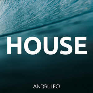 AndruLeo - House