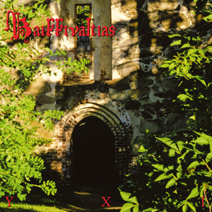 album cover: YXI