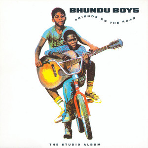 Hokoyo - song and lyrics by Thomas Mapfumo, The Acid Band | Spotify