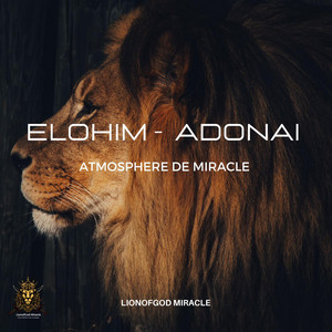 LionofGod Miracle - ELOHIM ADONAÏ