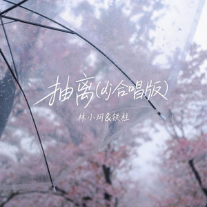 抽离 - dj合唱版 by 林小玥, 铁柱