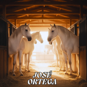 Sugerencias Constructivas by Jose Ortega