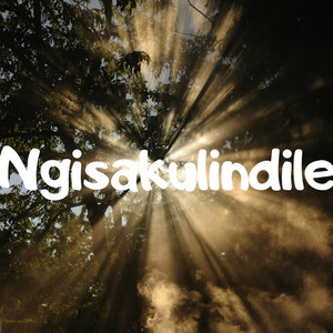 Ngisakulindile by eity
