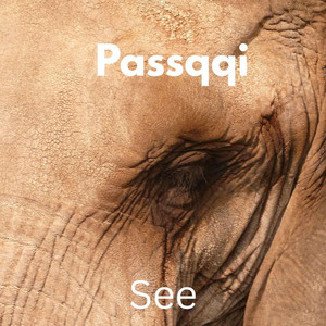 See by Passqqi