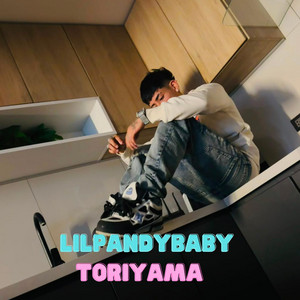 TORIYAMA by Lilpandybaby