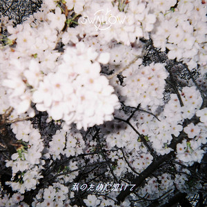 SWALLOW | Spotify