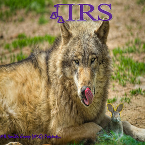 IRS – MR Smith Group (MSG) (2025)