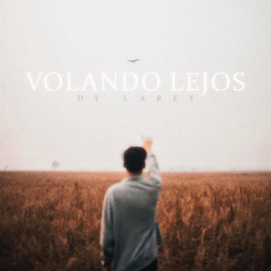Volando Lejos by Dy Larey