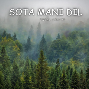 Iqbal Ajnabi - Sota Gun