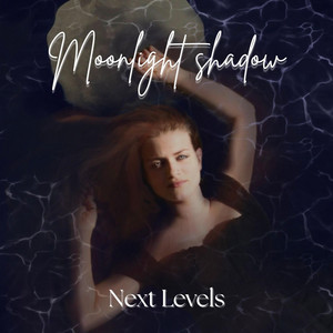 Moonlight Shadow by Next Levels