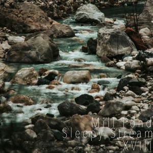 Sleepy Stream XVIII by Mill Pond