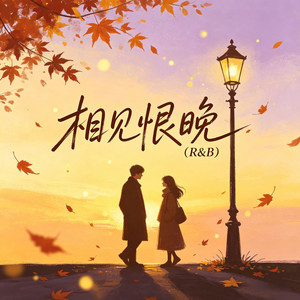 相见恨晚（R&B） by 大头针R&B