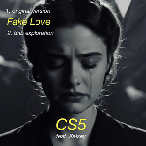 Fake Love - original version by CS5, Kelsey