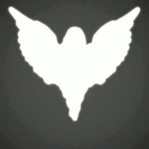 Run, Think, Shoot, Live by sadance, violetssky