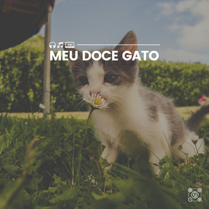 Cats' Quietude ‑ 曲・歌詞：Cat Music | Spotify