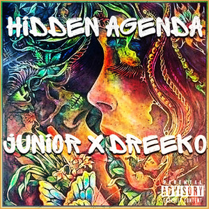 Hidden Agenda